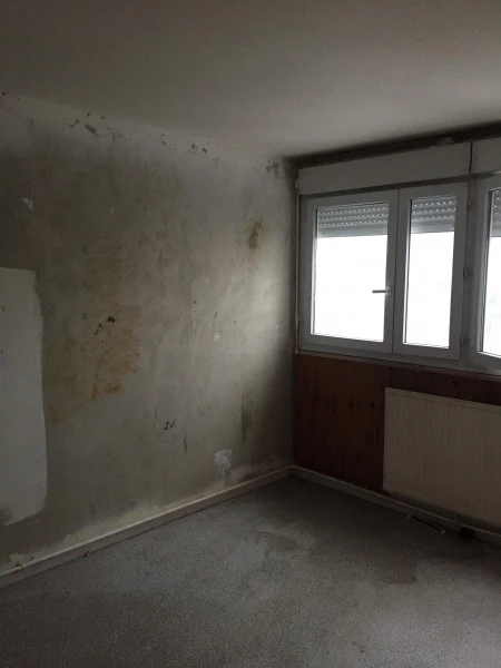 L'enlève de papier de Mur