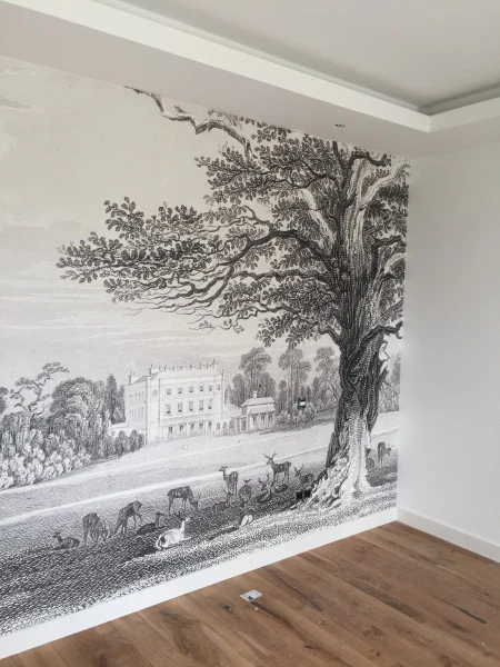 POSE LA TOILE DECORE Grenoble