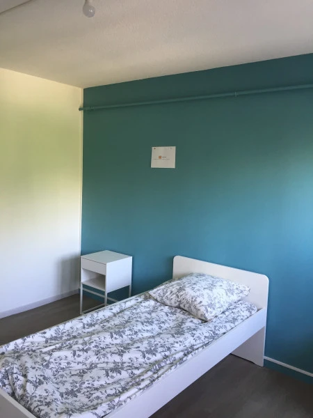 Rénovation plafond en goulette Grenoble