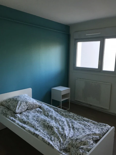 Rénovation peinture sur toile de verre Grenoble